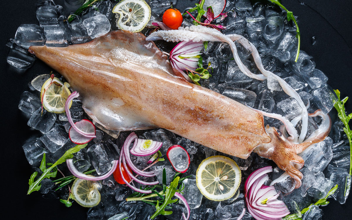 整只魷魚(yú)